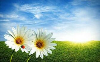 Background Spring Wallpaper Top Best HD For Desktop