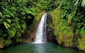 High Definition Photo Of Landscape Wallpaper Nature Waterfall For