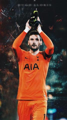Hugo Lloris Gardien De But Footballeur Quipe France