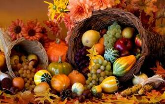 Field Of Blessings Happy Thanksgiving