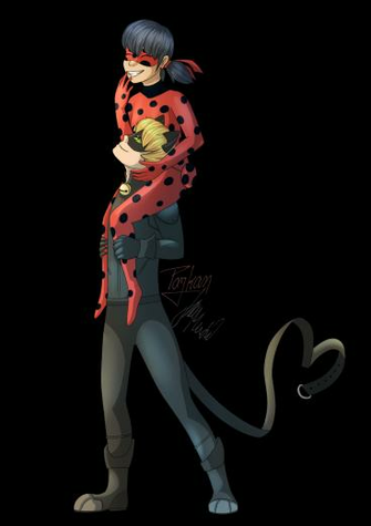 Ladybug Image And Chat Noir HD Wallpaper Background