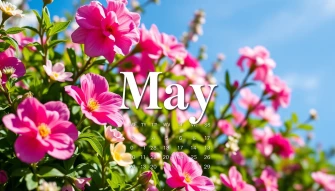May Calendar Wallpaper