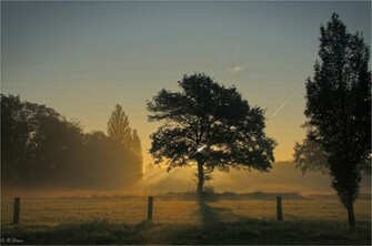 HD Desktop Wallpaper Widescreen For In High Quality