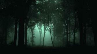 Dark Forest Wallpaper