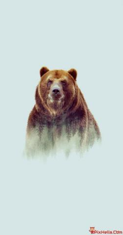 Grizzly Bear Art In HD Wallpaper App iPhone