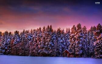 The Purple Winter Sky Wallpaper