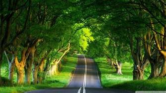 Best Wallpaper HD Nature