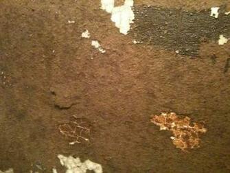 Home Improvement What Is This I Found Under The Wallpaper In My