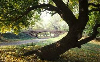 Theme Bin Archive Central Park New York City HD Wallpaper