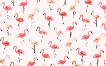 Inspired Idea New Tech August Wallpaper Lauren Conrad