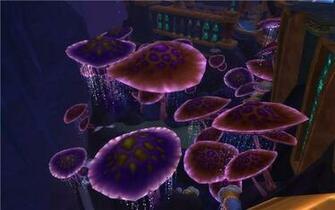 Neon Mushroom Wallpaper Mushrooms