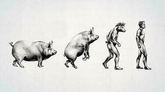 HD Funny Human Evolution Wallpaper Ventube
