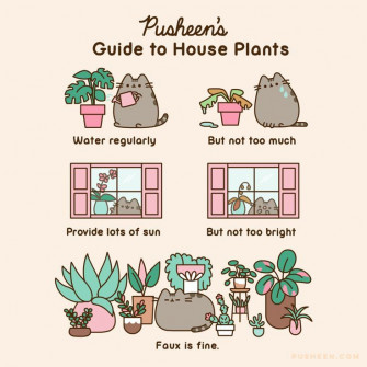 Pusheen House Plants Cat Cute