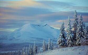 Ontario Winter Full Screen iPad Wallpaper Nature
