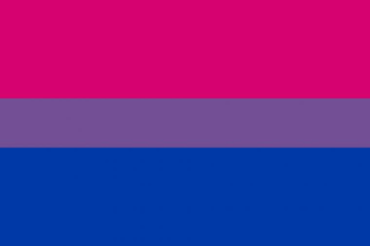 Bi Flag HD Wallpaper Background Image Id