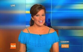 Robin Meade Salary Husband Bio