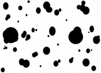 Google55d8e59c68ba5ec8 Vanity Fur Grooming Salon Pet Spa Bed