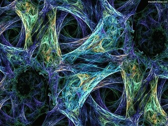 Cell Biology Wallpaper Bacteria Blue