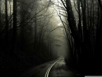Dark Road Forest 4k HD Desktop Wallpaper For Ultra Tv