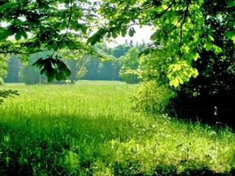 Discuss Ideas Most Beautiful Wallpaper Of Natural Scene