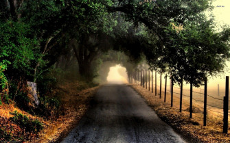 Image For Nature Dark Desktop Wallpaper