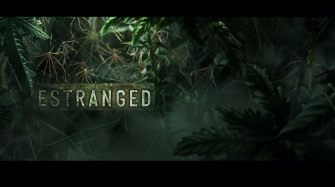 Estranged Wallpaper