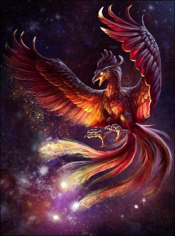 Phoenix Wallpaper Artwork