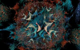 Fractal Wallpaper For The Macbook Pro Retina Display Updated