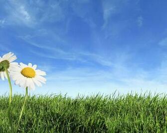 Spring Wallpaper