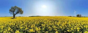 Dual Screen Wallpaper High Definition