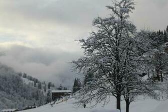 Snow Landscapes Winter Wallpaper Desktop