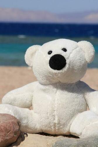 Teddy Bear iPhone HD Wallpaper