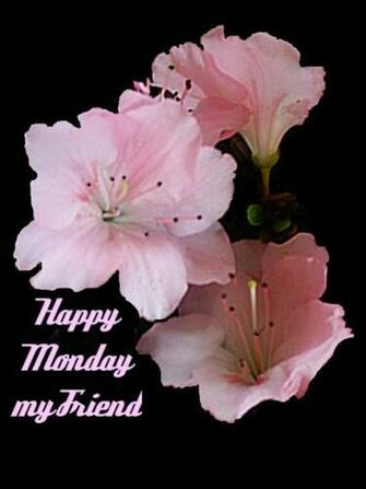 Happy Monday Sms Wallpaper Quotes Mms Wishes Image Hindi