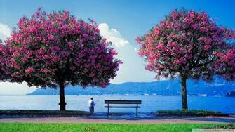 Place Wallpaper And Background Image Net