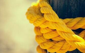 HD Yellow Wallpaper