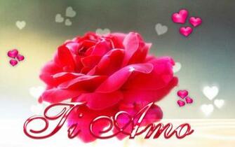 Te Amo Wallpaper