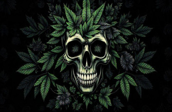 Wallpaper Of Weed Skull