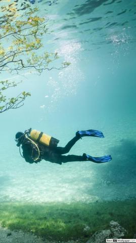 Scuba iPhone Wallpaper On