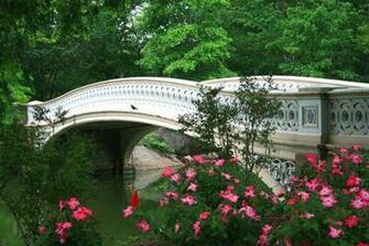 Central Park Bow Bridge