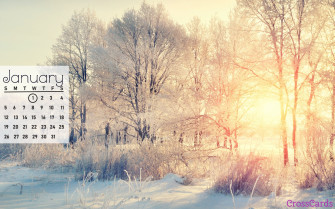 January Calendar Wallpaper Ideas Picture