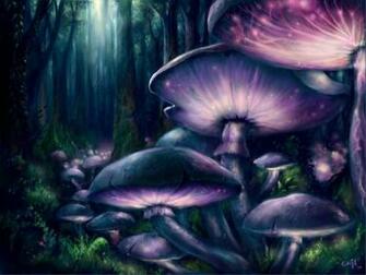 Pictures Mushroom Forest Wallpaper