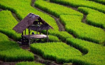 Farm HD Wallpaper And Background