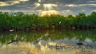 Everglades Half Marathon World S Marathons