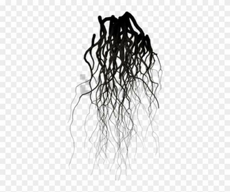 Png Black Veins Image Background Transparent