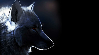 Lone Wolf Wallpaper