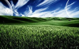Summer Wallpaper HD