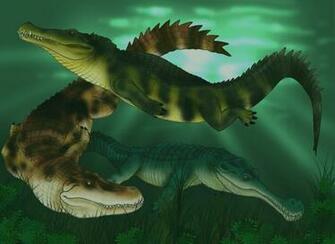 Krakovias River Crocodiles By Jelsin