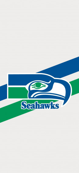 Got Excited For Our Throwback Jerseys So I Decided To Make Some