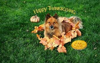 Thanksgiving Wallpaper By Kate Net