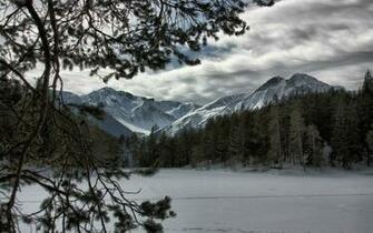 Wallpaper Winter Snow Tree Mountains Forest Desktop